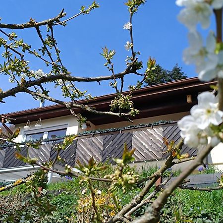 Ferienwohnung Zum Maerchenwald Bergfreiheit Екстер'єр фото