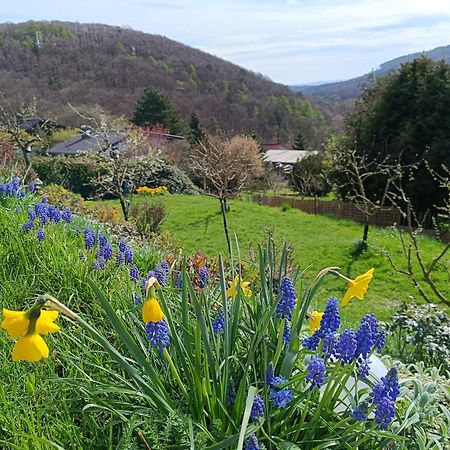 Ferienwohnung Zum Maerchenwald Bergfreiheit Екстер'єр фото