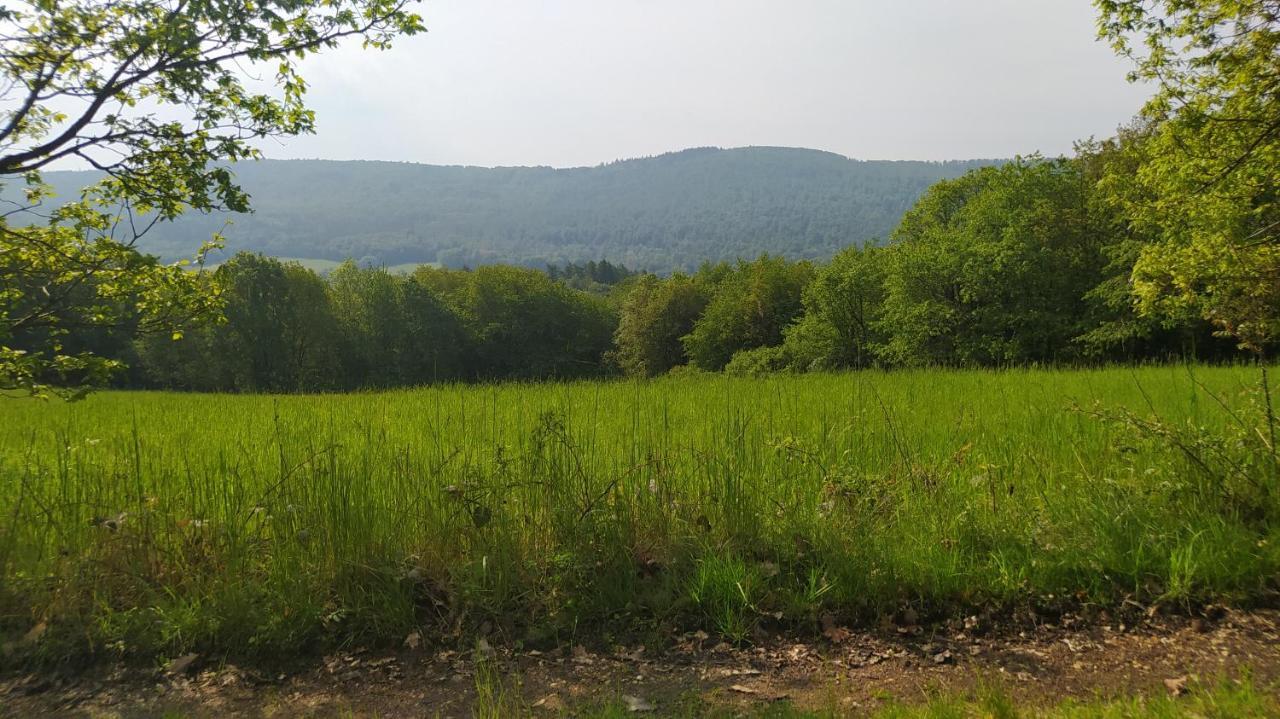 Ferienwohnung Zum Maerchenwald Bergfreiheit Екстер'єр фото