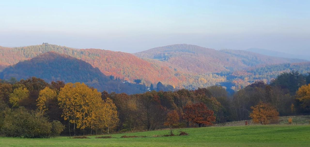 Ferienwohnung Zum Maerchenwald Bergfreiheit Екстер'єр фото