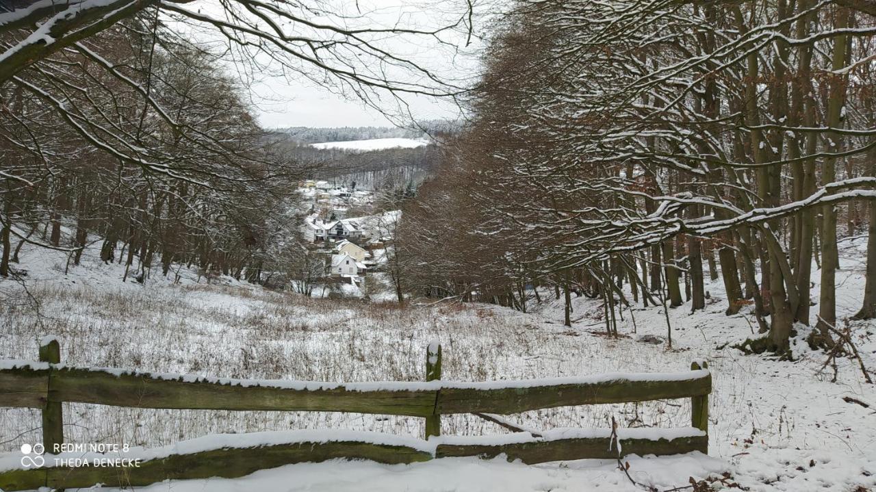 Ferienwohnung Zum Maerchenwald Bergfreiheit Екстер'єр фото
