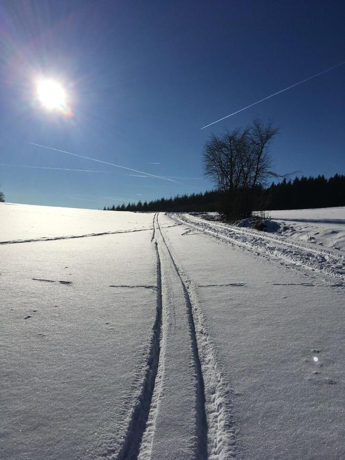 Ferienwohnung Zum Maerchenwald Bergfreiheit Екстер'єр фото