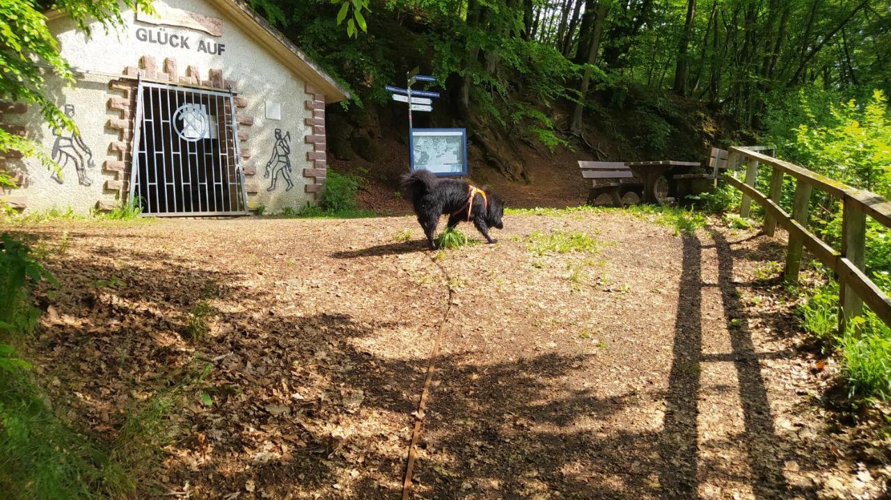 Ferienwohnung Zum Maerchenwald Bergfreiheit Екстер'єр фото