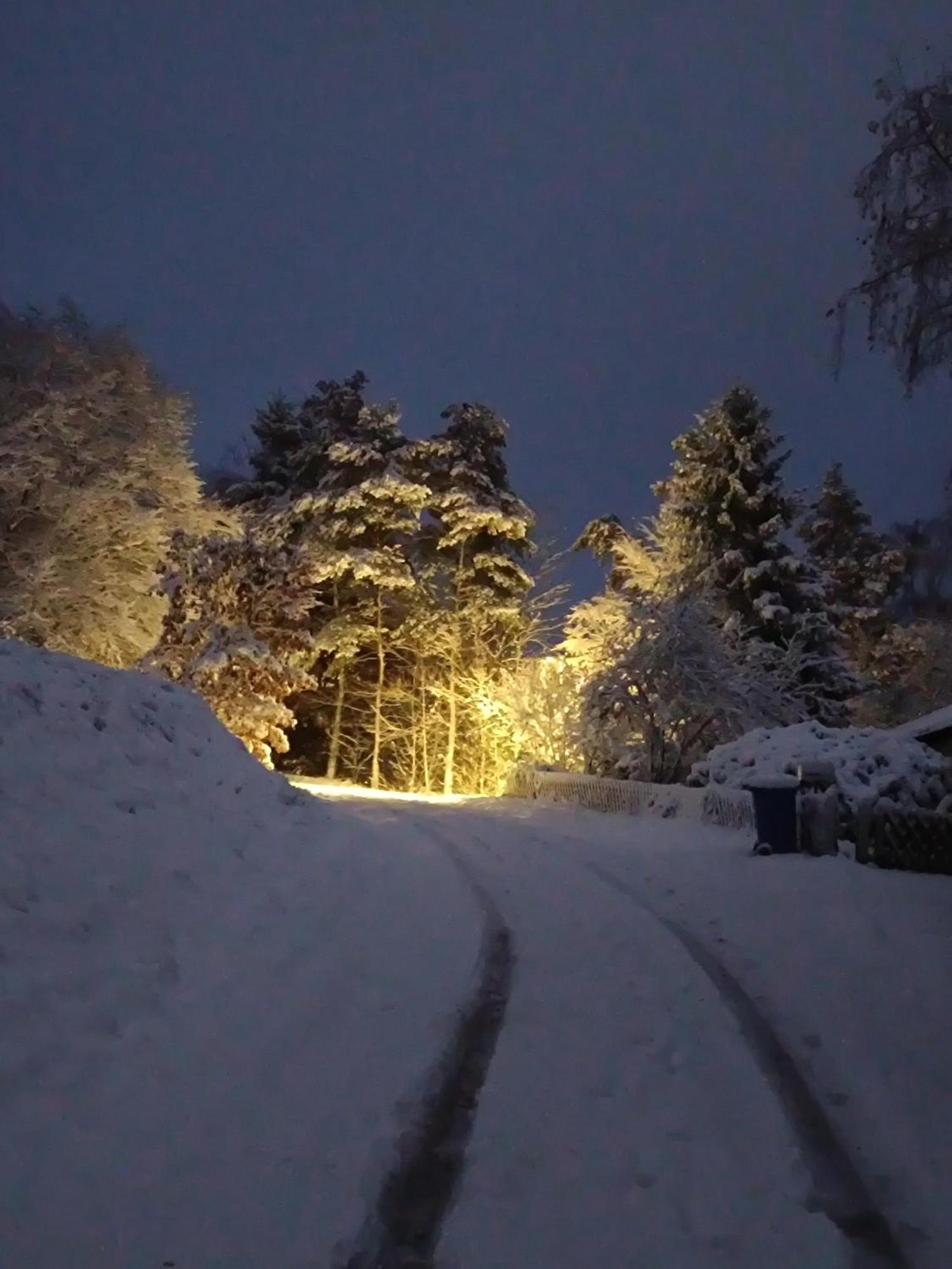 Ferienwohnung Zum Maerchenwald Bergfreiheit Екстер'єр фото