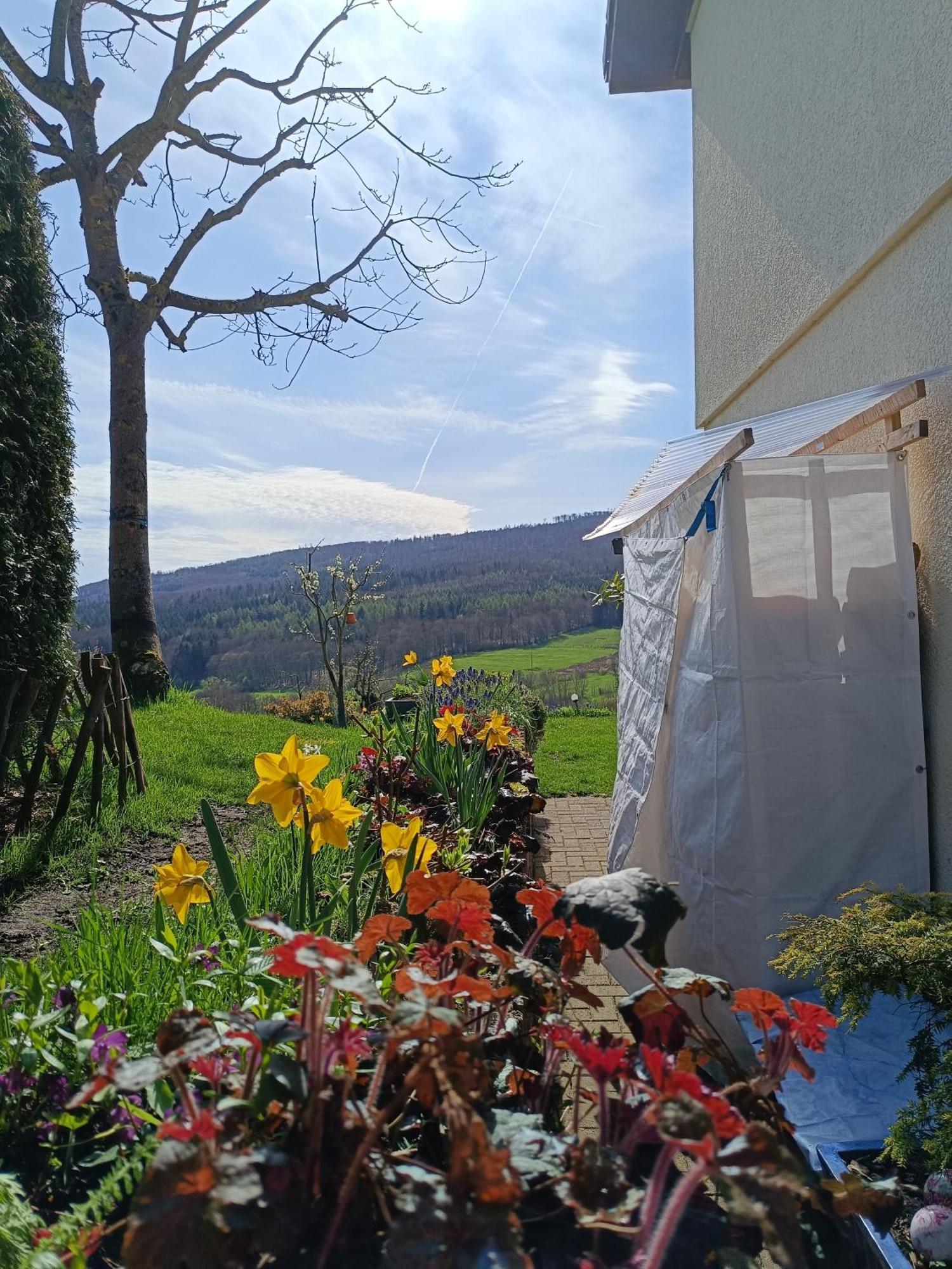 Ferienwohnung Zum Maerchenwald Bergfreiheit Екстер'єр фото